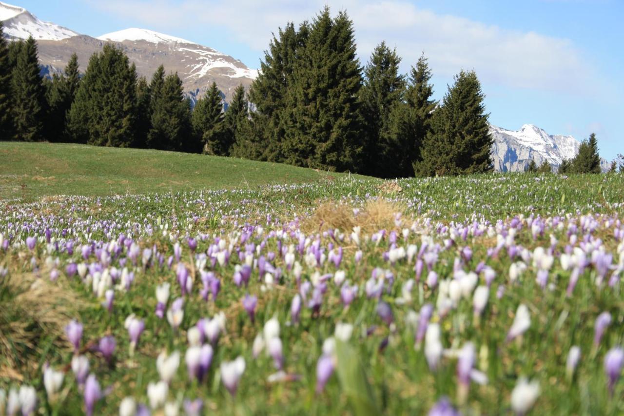 Albergo Diffuso Faller Exterior foto