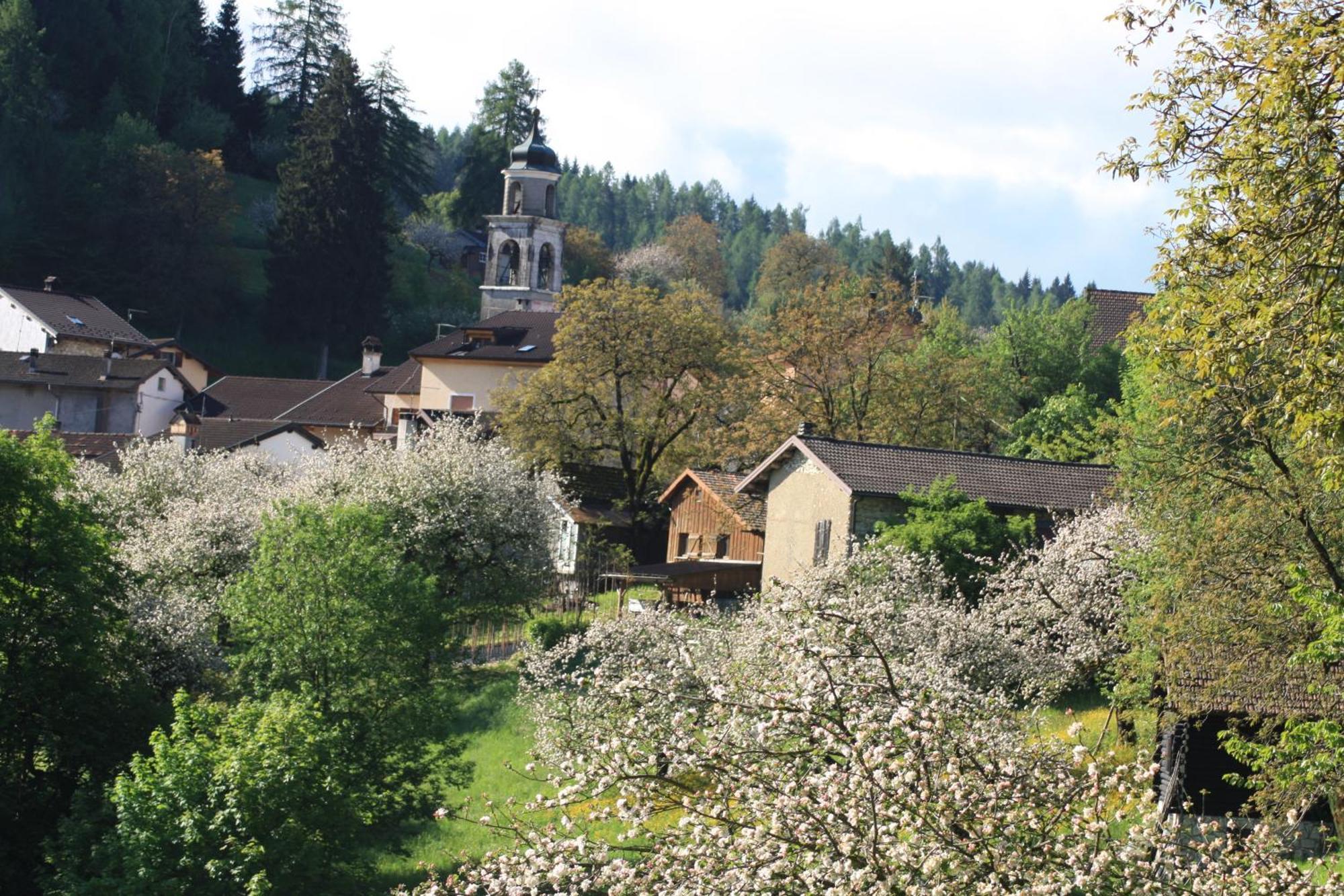 Albergo Diffuso Faller Zimmer foto
